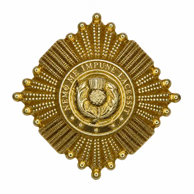 1 1/8 Inch Gold Metal Thistle Stars