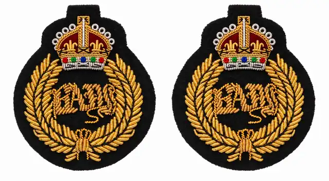 1st The Queen's Dragoon Guards Embroidered Bays-Cypher Collar Badges