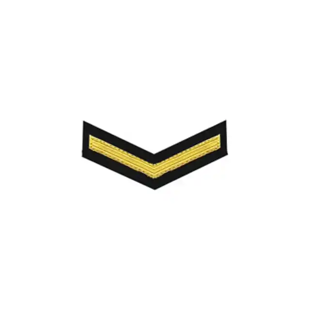 1st The Queen's Dragoon Guards Lance Corporal Rank (LCpl)