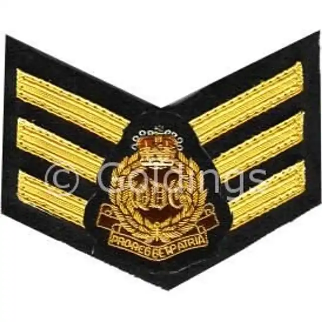 1st The Queen's Dragoon Guards Sergeant Rank (Sgt)