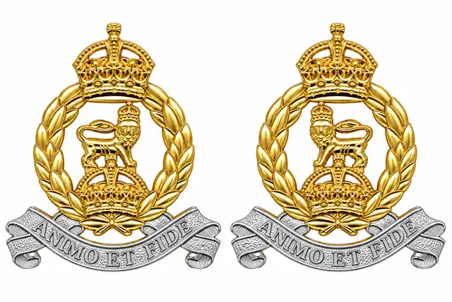 AGC Metal Collar Badges