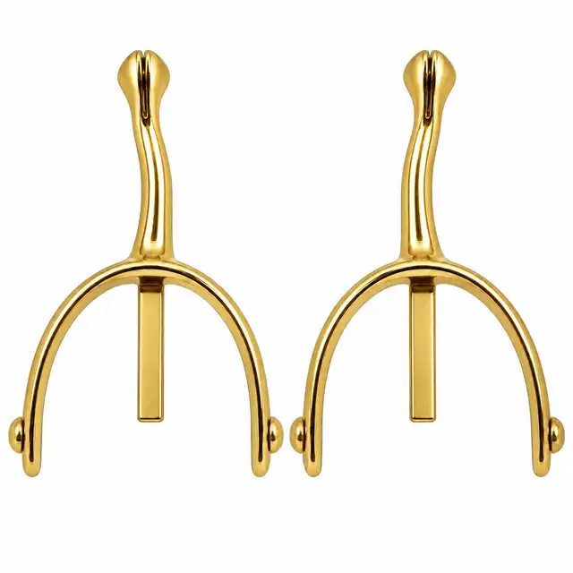 Brass Swan-Neck Spurs