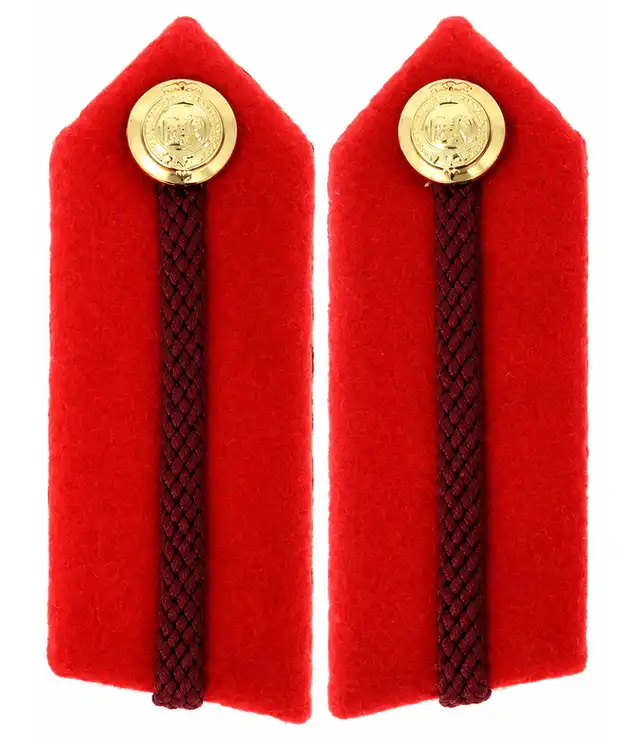 Brigadier and Colonel Gorgets