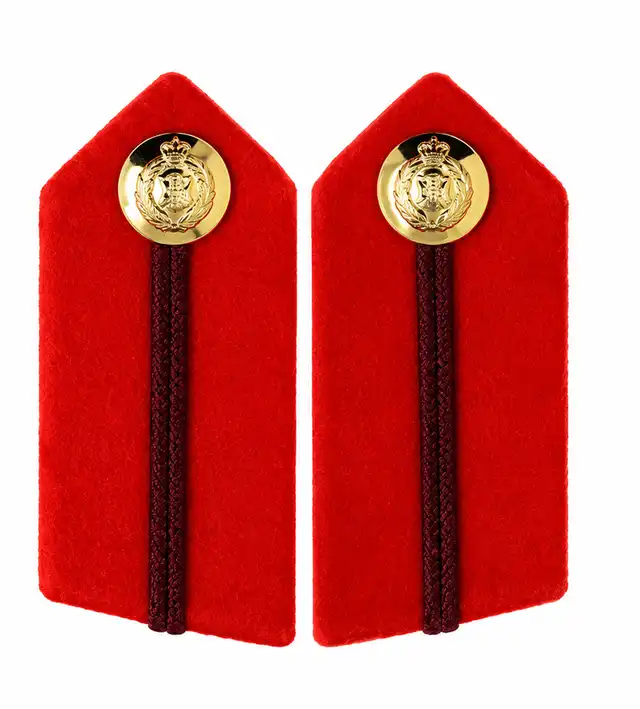 Brigadier and Colonel Shirt Gorgets