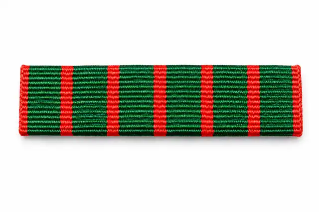 Croix De Guerre Arm Badge