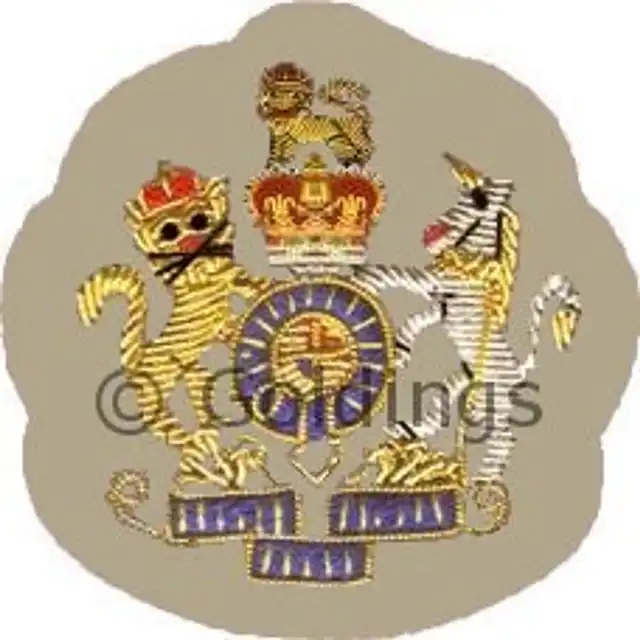 Intelligence Corps Regimental Sergeant Major Rank (RSM)