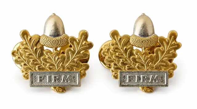 Mercian Regiment Gilt and Silver Collar Badges