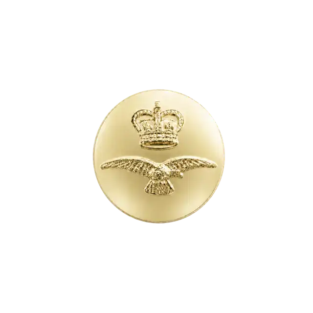 Royal Air Force Anodised Buttons (22 Ligne)