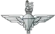Parachute Regiment badge: a parachute between outspread wings, beneath a crown surmounted by a lion.