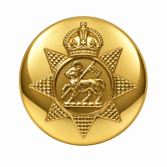 The Princess of Wales's Royal Regiment 22 Ligne Anodised-Gilt Mess Button