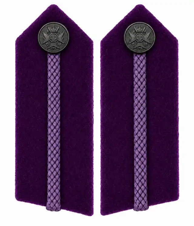 Senior chaplain purple gorget patches — lilac-purple plaited braid and black buttons