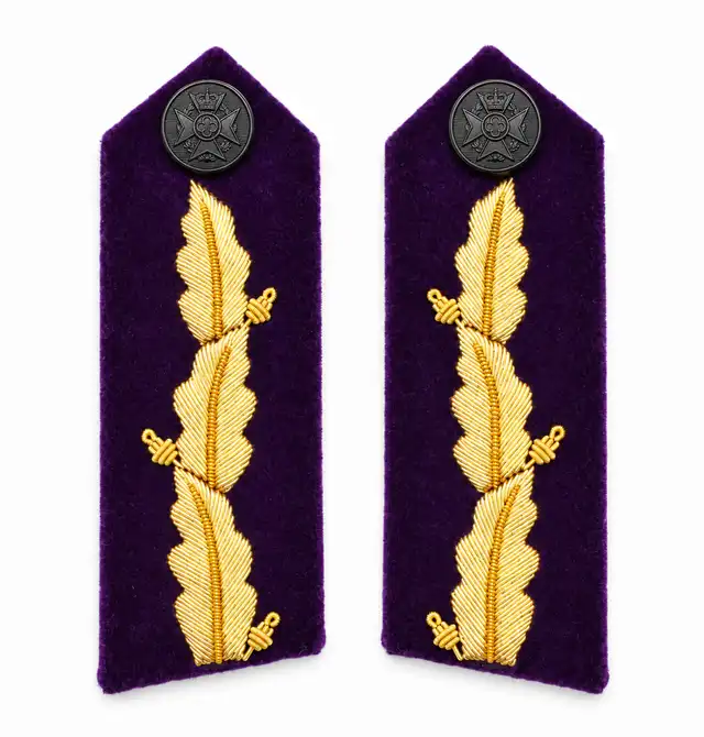 Chaplain-General purple gorget patches — gold oak-leaf embroidery