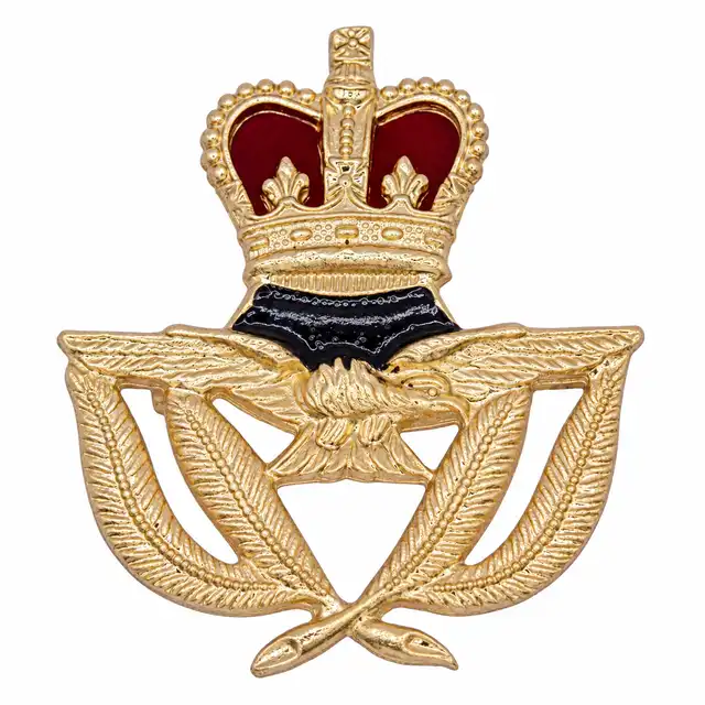RAF Warrant Officer Badge