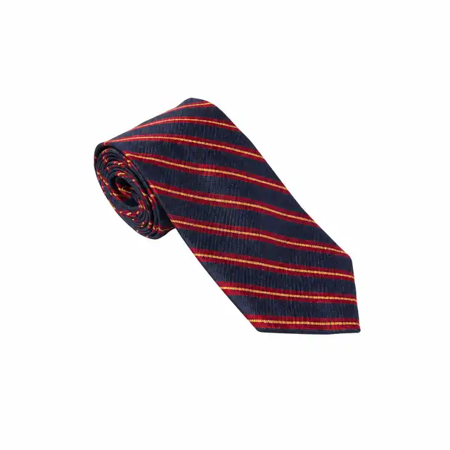 Royal Anglian Regiment Tie