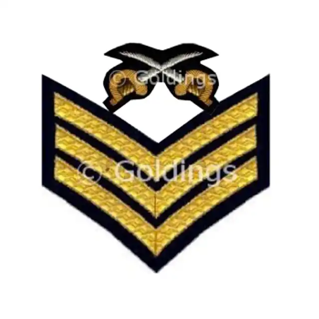 Royal Army Physical Training Corps Sergeant Rank (Sgt)