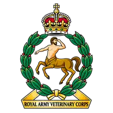 RAVC cap badge: Chiron the centaur within a green laurel wreath beneath a crown, over the corps title scroll.