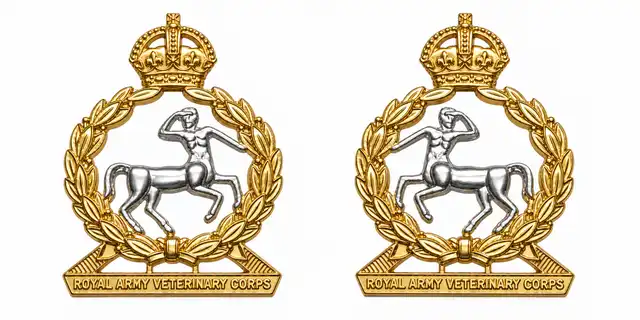 Royal Army Veterinary Corps Officer Collar Badges
