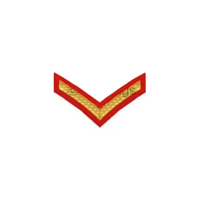 The Royal Logistic Corps Lance Corporal Rank (LCpl)