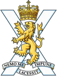 Cap badge: gold lion rampant on a silver-white saltire beneath the crown, with the motto NEMO ME IMPUNE LACESSIT.