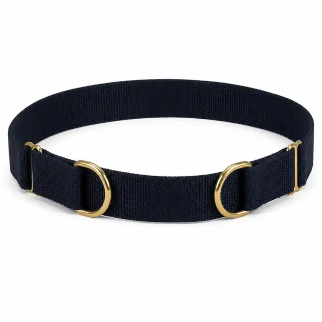 Royal Scots Dragoon Guards Dark-Blue Sword Belt and Thistle-Lace Slings System