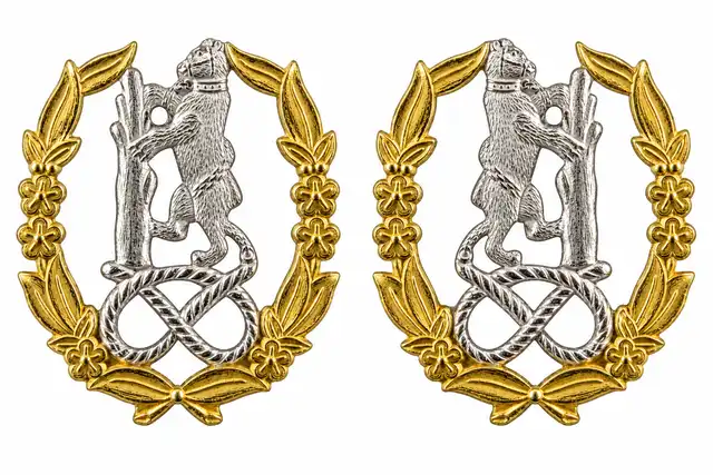 Royal Yeomanry B Squadron officer collar badges: left-facing and right-facing silver bear, ragged staff and Staffordshire knot within gilt wreaths on white.