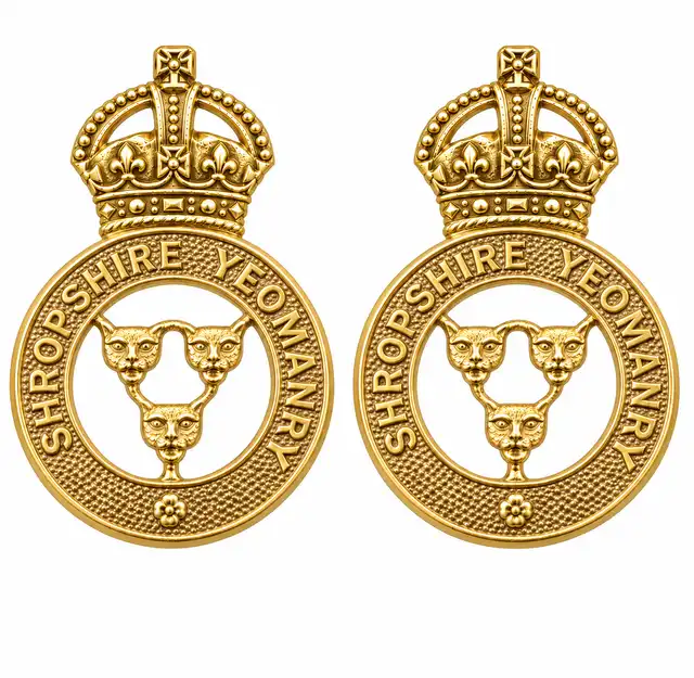 Royal Yeomanry D Squadron Officer Collar Badges (Shropshire Yeomanry), gold metal pair with King’s Crown