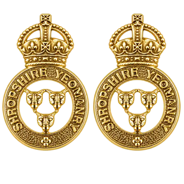 Royal Yeomanry D Squadron Other-Rank Collar Badges (Shropshire Yeomanry), gold metal pair with King’s Crown