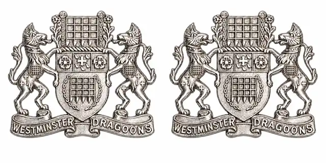 Royal Yeomanry F Squadron Collar Badges (Westminster Dragoons) — pair