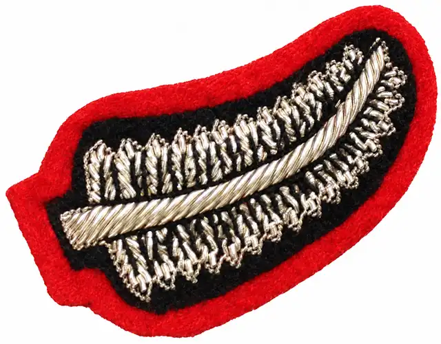 Royal Yeomanry Silver Fern Arm Badge: curved silver embroidery on black cloth with scarlet border, on a white background.