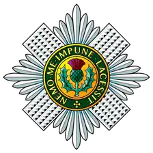 Scots Guards badge: the Star of the Order of the Thistle with a green circlet, motto and central thistle.