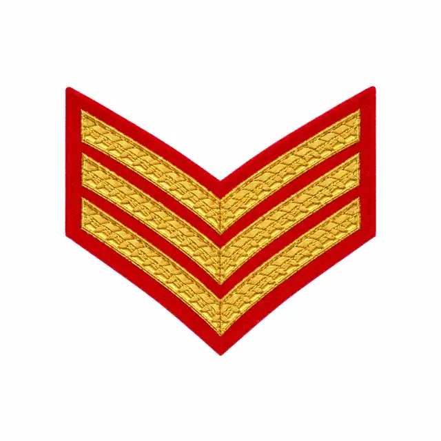 The Princess of Wales's Royal Regiment Sergeant Rank (Sgt)