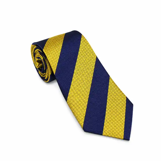 The Princess of Wales's Royal Regiment Tie