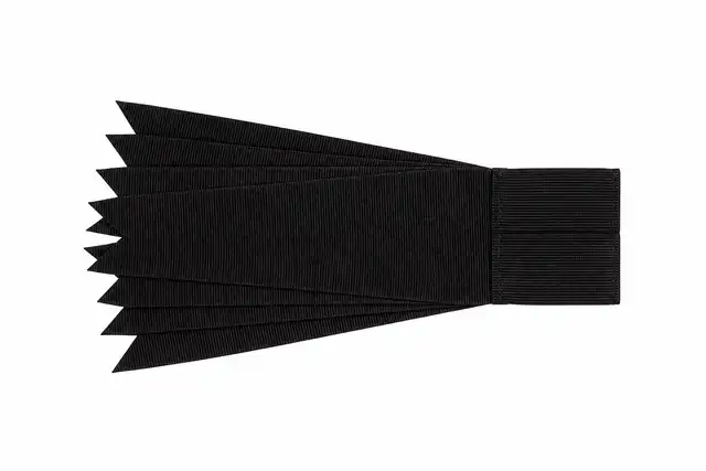 The Royal Welsh Black Flash